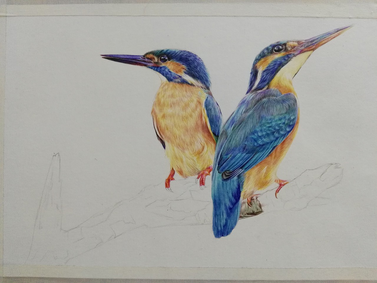 彩色圆珠笔作品《伴》（图ZOTgzOTQ0MDg=） - 绘画 - 站酷设计师浩轩手绘原创素材 - 站酷ZCOOL