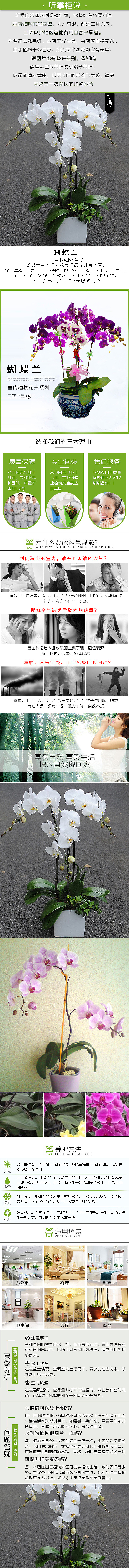 不同产品首页以及详情页（图ZMTE3NjYwNjEy） - 电商 - 站酷设计师你管我是不是原创素材 - 站酷ZCOOL