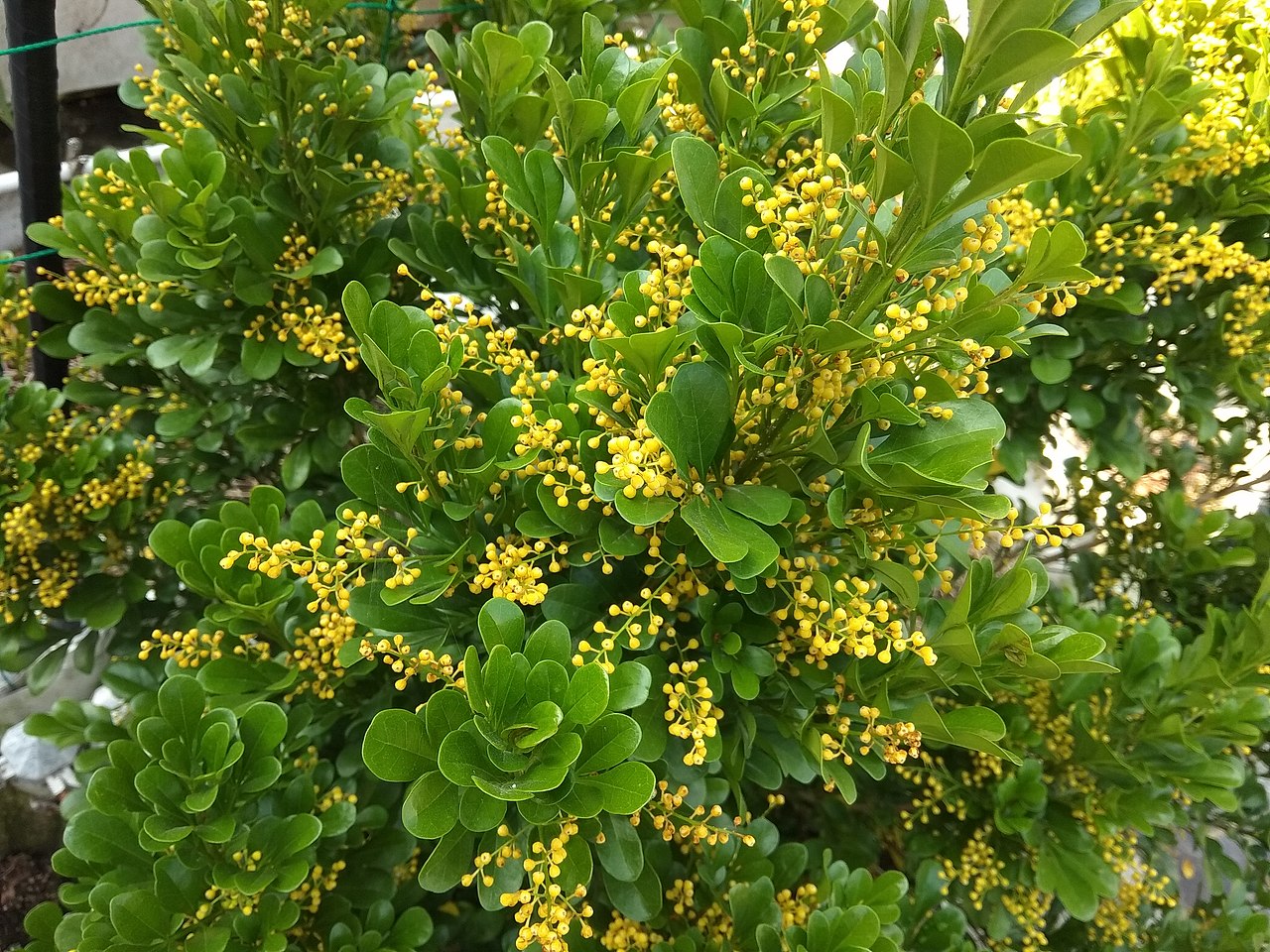 举报收藏分享原创作品摄影风光摄影米兰