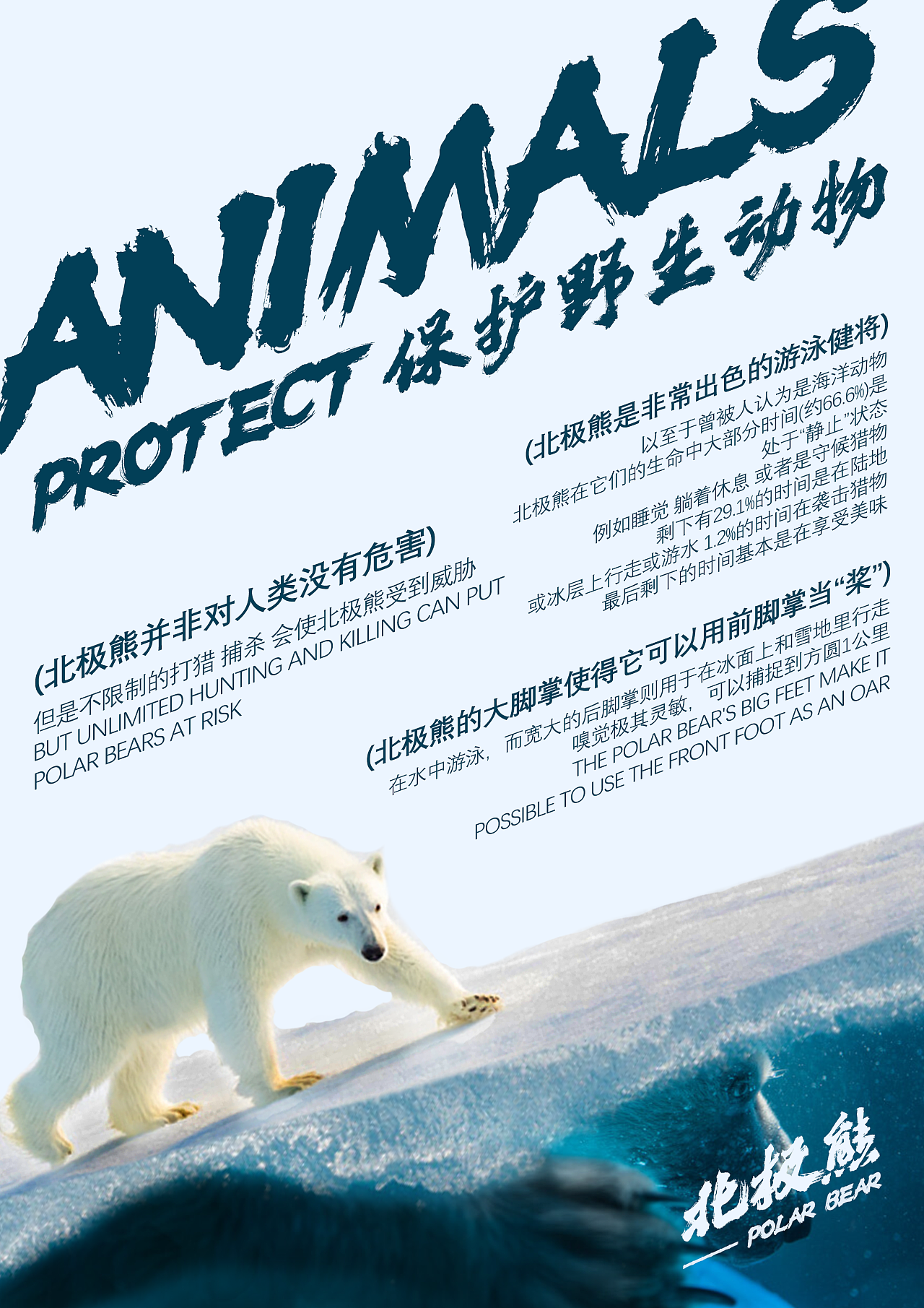 北极熊保护宣传语图片