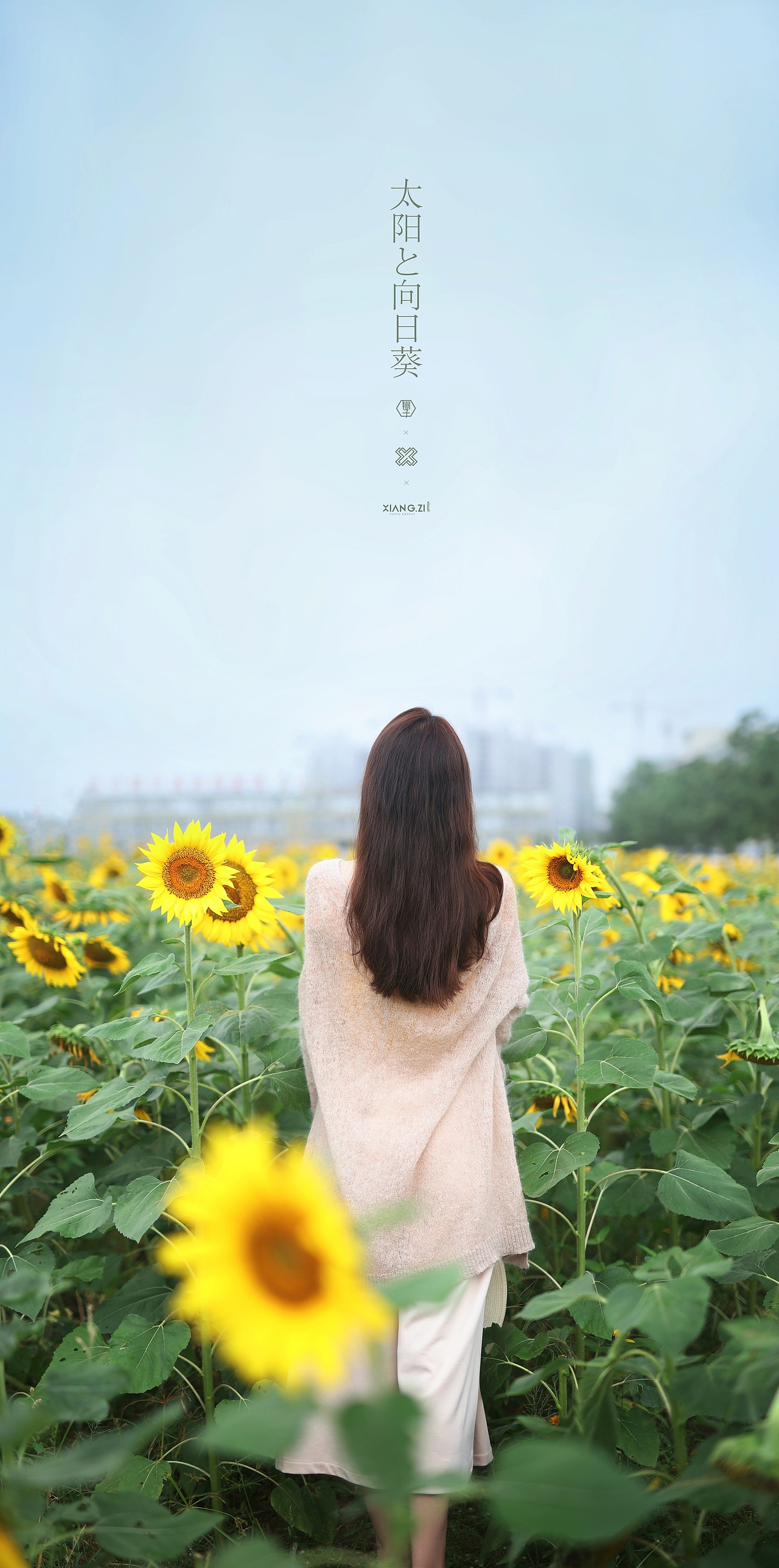 【翔子视觉】太阳的向日葵（图ZMjc0NjI1Njky） - 人像摄影 - 站酷设计师杭州翔子原创素材 - 站酷ZCOOL