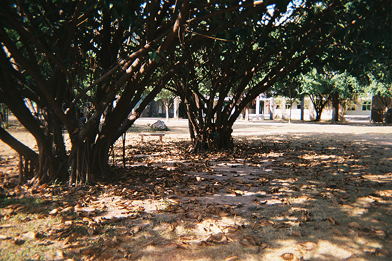 There Goes My Film - 胶片摄影半年总结（图ZMTQ4Nzg3MTI=） - 其他摄影 - 站酷设计师AlexNin原创素材 - 站酷ZCOOL