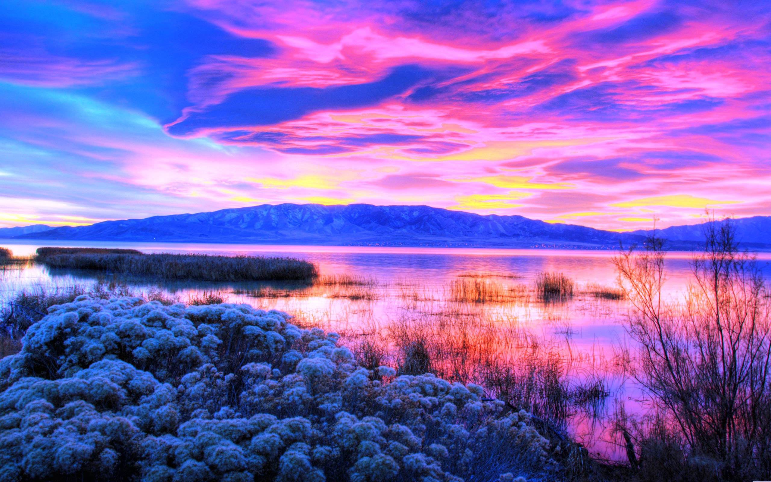 WTEA的个人主页（封面预览） - 主页封面设置 - 站酷设计师WTEA原创素材 - 站酷ZCOOL