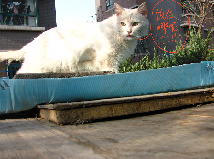 我结交了一群新朋友（图ZMjc2MjE2NDA=） - 文案/策划 - 站酷设计师画师x如也原创素材 - 站酷ZCOOL