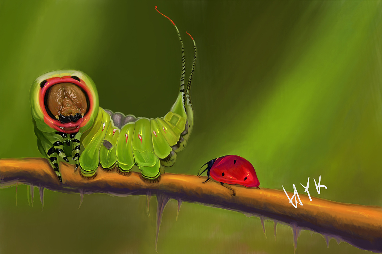 虫虫|插画|商业插画|古月17度半 - 原创作品 - 站酷 (zcool)
