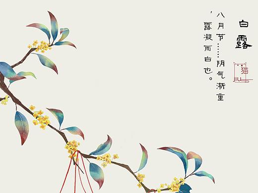白露