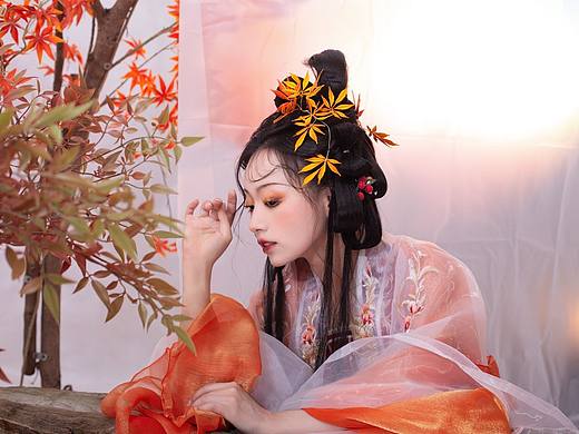 秋天的枫叶