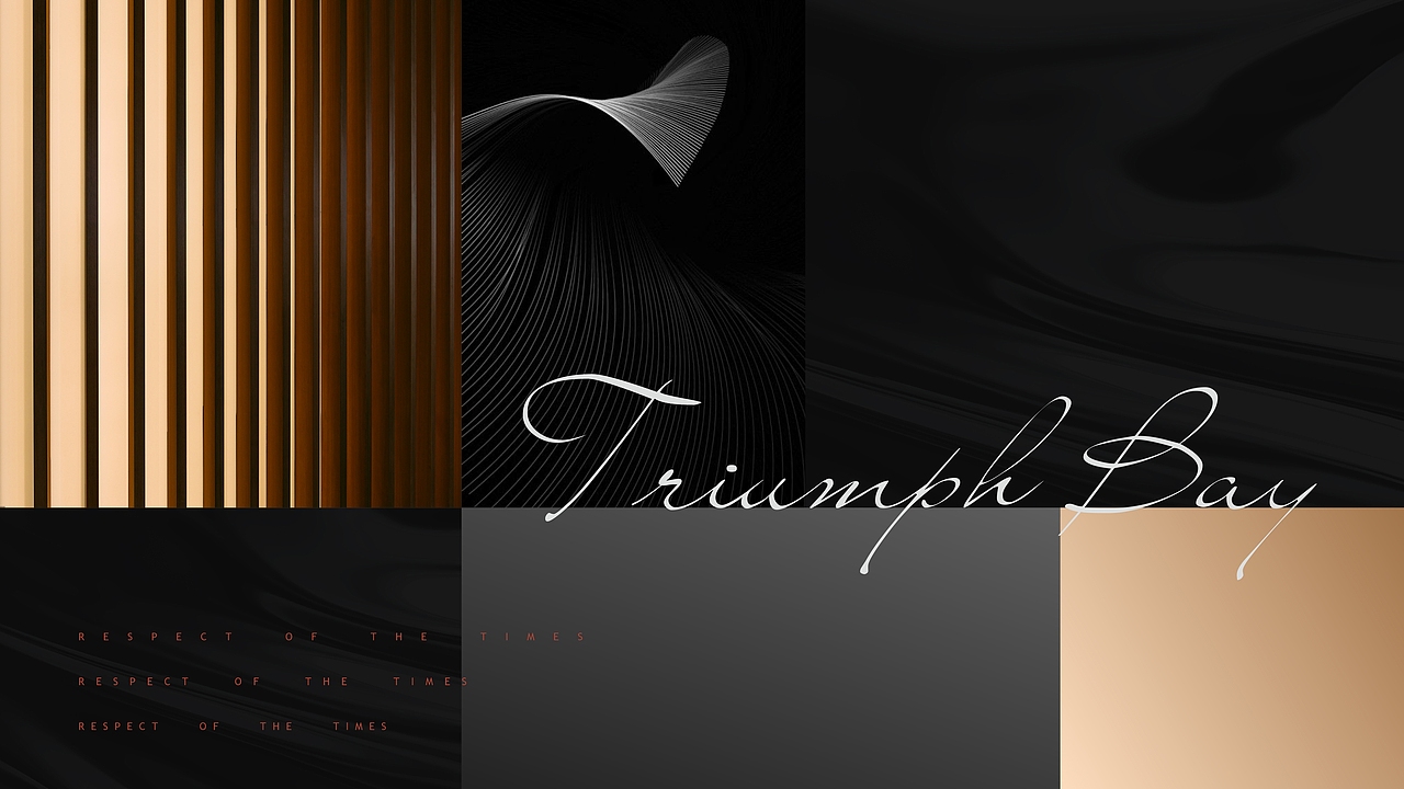 地产豪宅提案稿