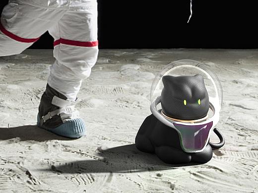 “一只不太可爱的小黑猫”