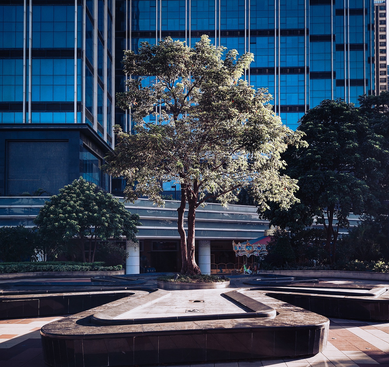 【手机摄影】天公铺排人间好天地，近期的手机照片（图ZMjc4MTI2ODcy） - 人文/纪实摄影 - 站酷设计师生根原创素材 - 站酷ZCOOL