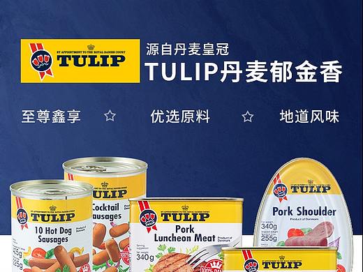 Tulip丹麦郁金香午餐肉页面汇总（个人主页-ZNDA4ODY1MjA=） - 电商 - 站酷设计师般若eeeee原创素材 - 站酷ZCOOL