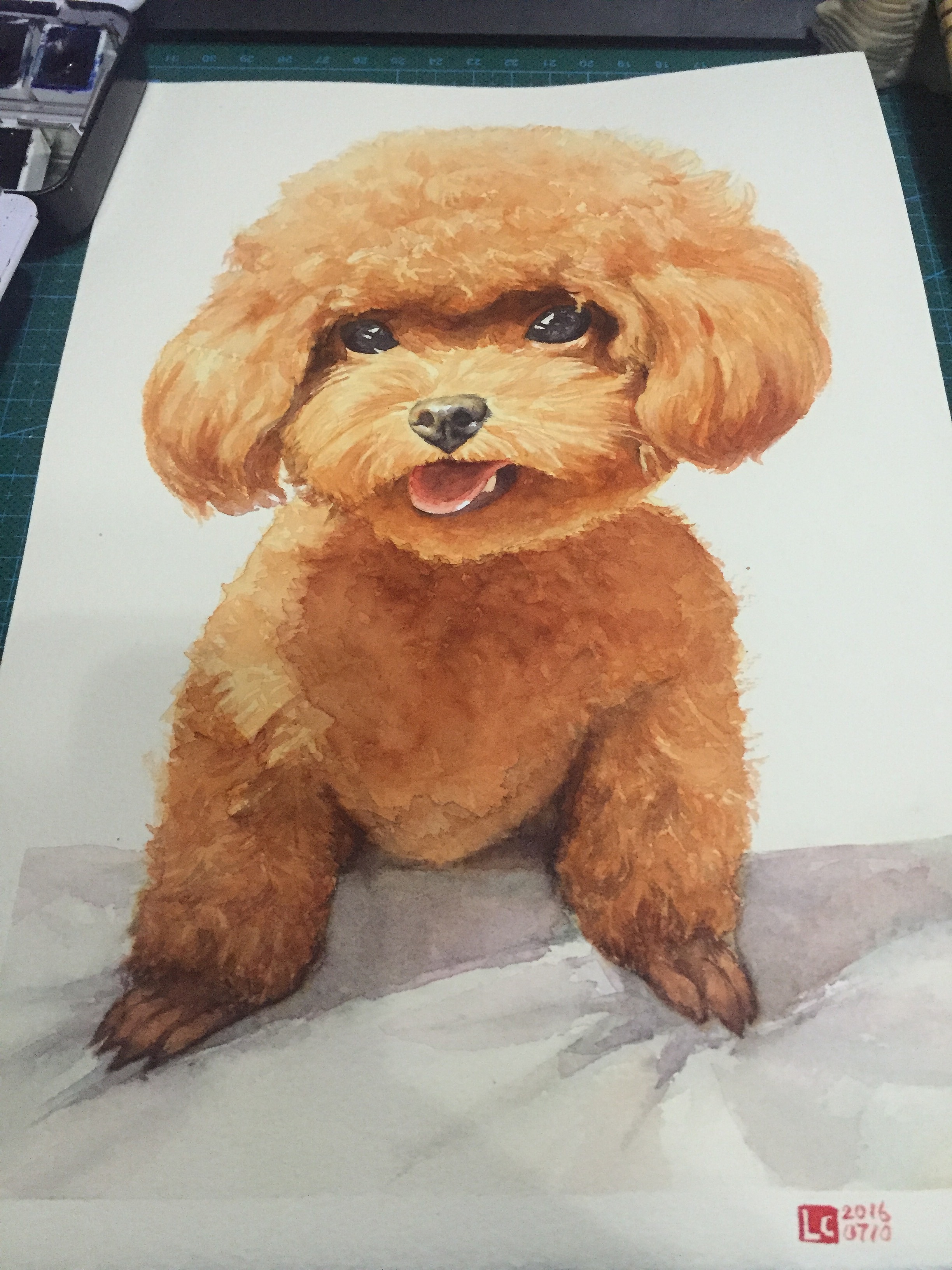 水彩动物《小泰迪,狗狗》