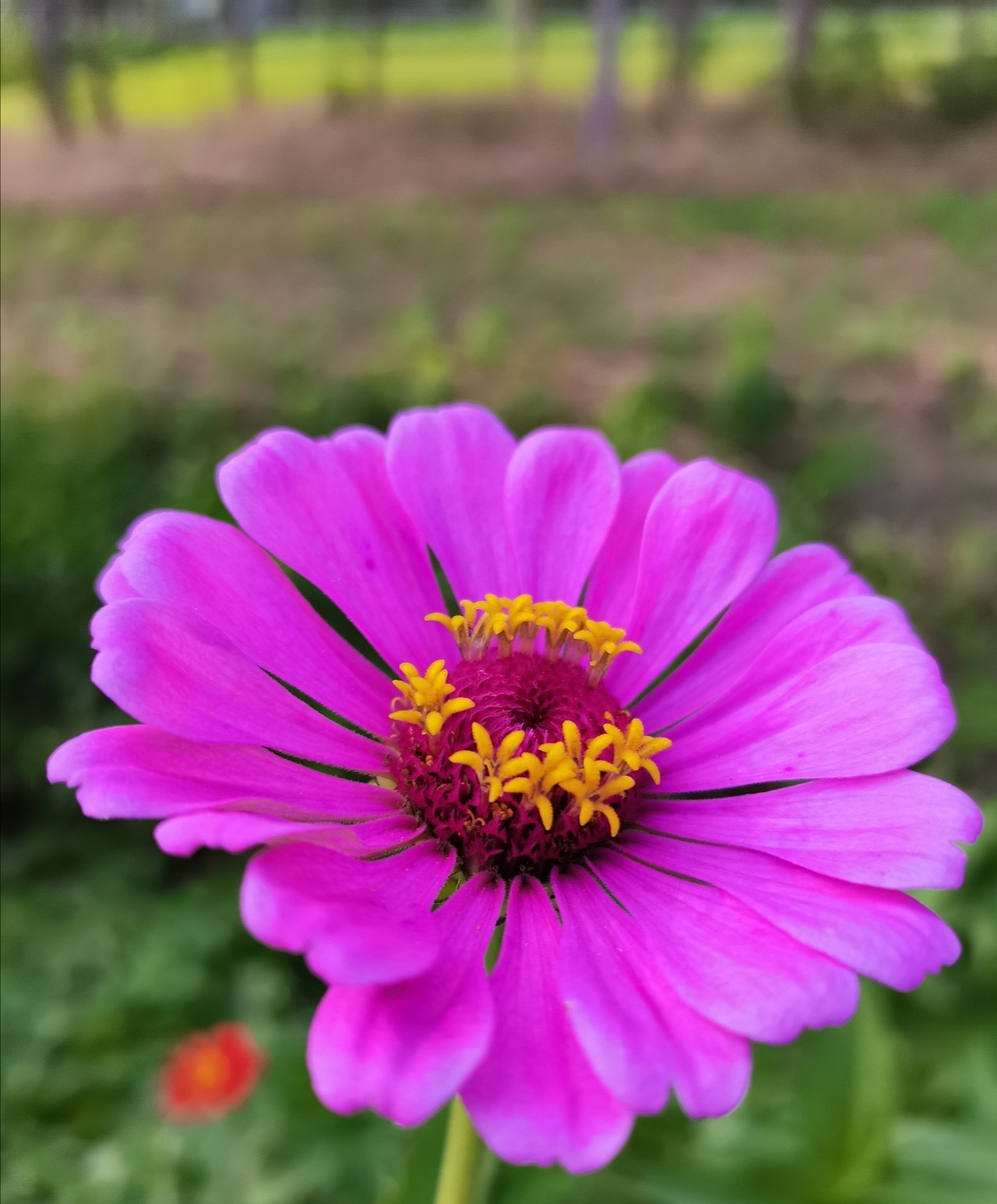 花花绿绿的世界