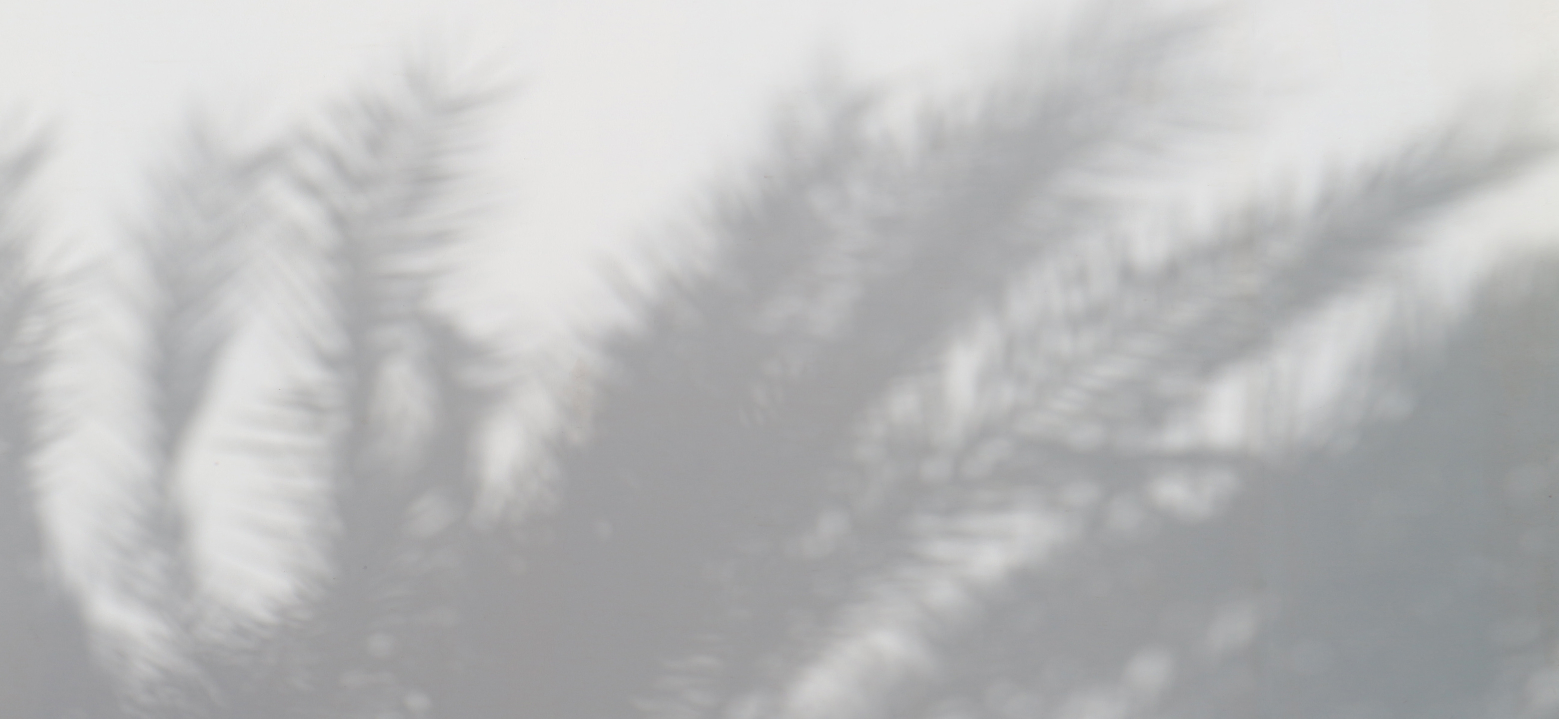 axxxing的个人主页（封面预览） - 主页封面设置 - 站酷设计师axxxing原创素材 - 站酷ZCOOL