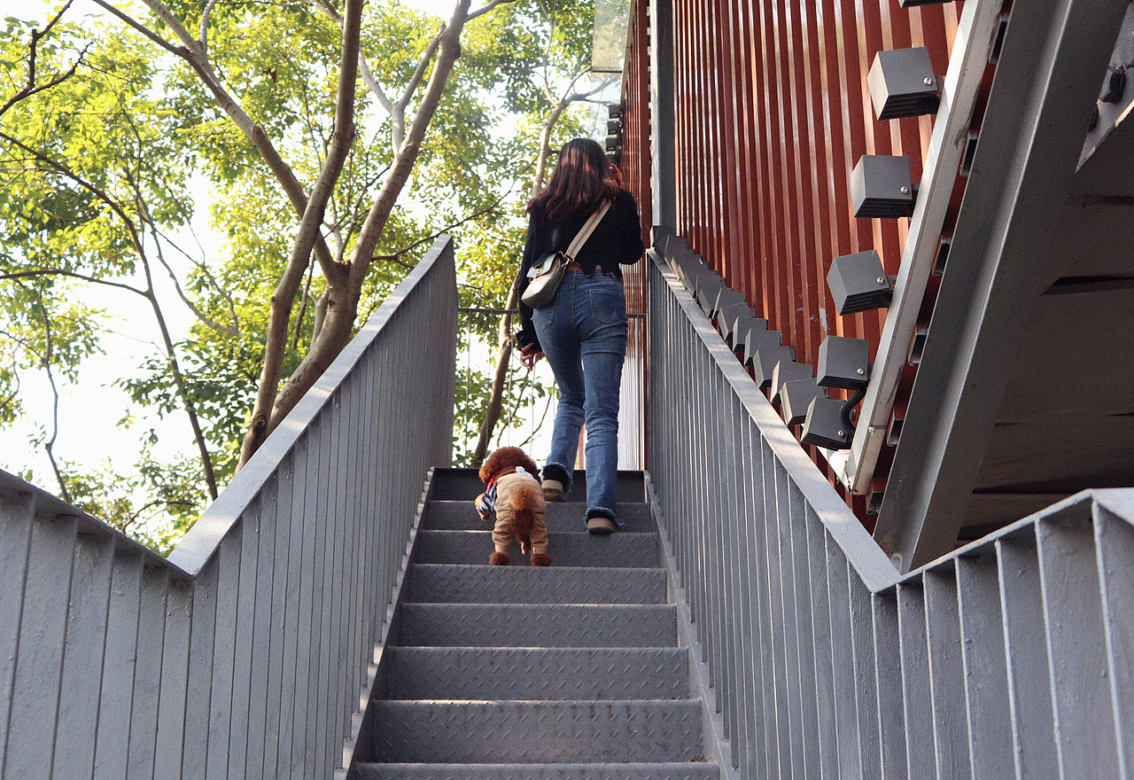 两个社恐的治愈瞬间