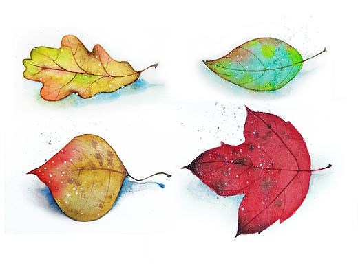 一个适合秋天的练习