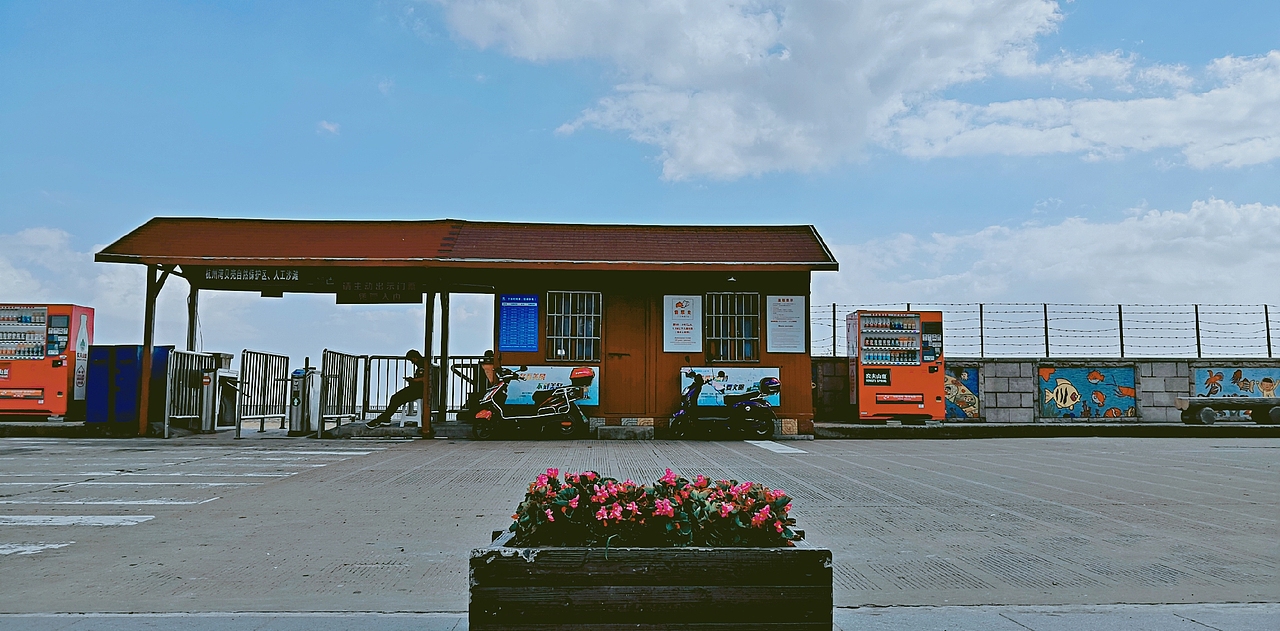 上海之海上  出游手机拍摄于奉贤