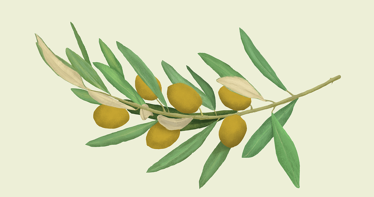 分享最近画的手绘插画（图ZMjA0MjY2MTEy） - 创作习作 - 站酷设计师爱搞事的花生原创素材 - 站酷ZCOOL