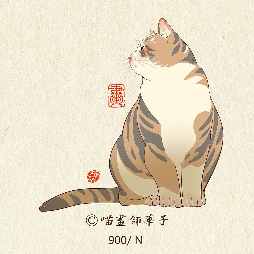 画猫的第三季250天,937天的画猫纪录