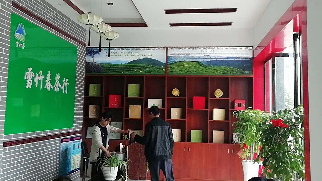 雪竹春丨茶叶品牌设计（图ZMjAxOTg5NjA4） - 品牌 - 站酷设计师叶先荣原创素材 - 站酷ZCOOL