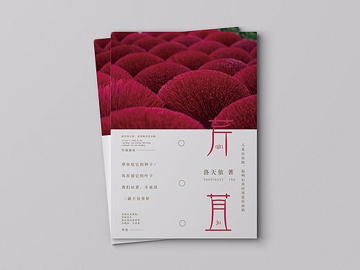 书籍封面  文艺封面  小清新封面