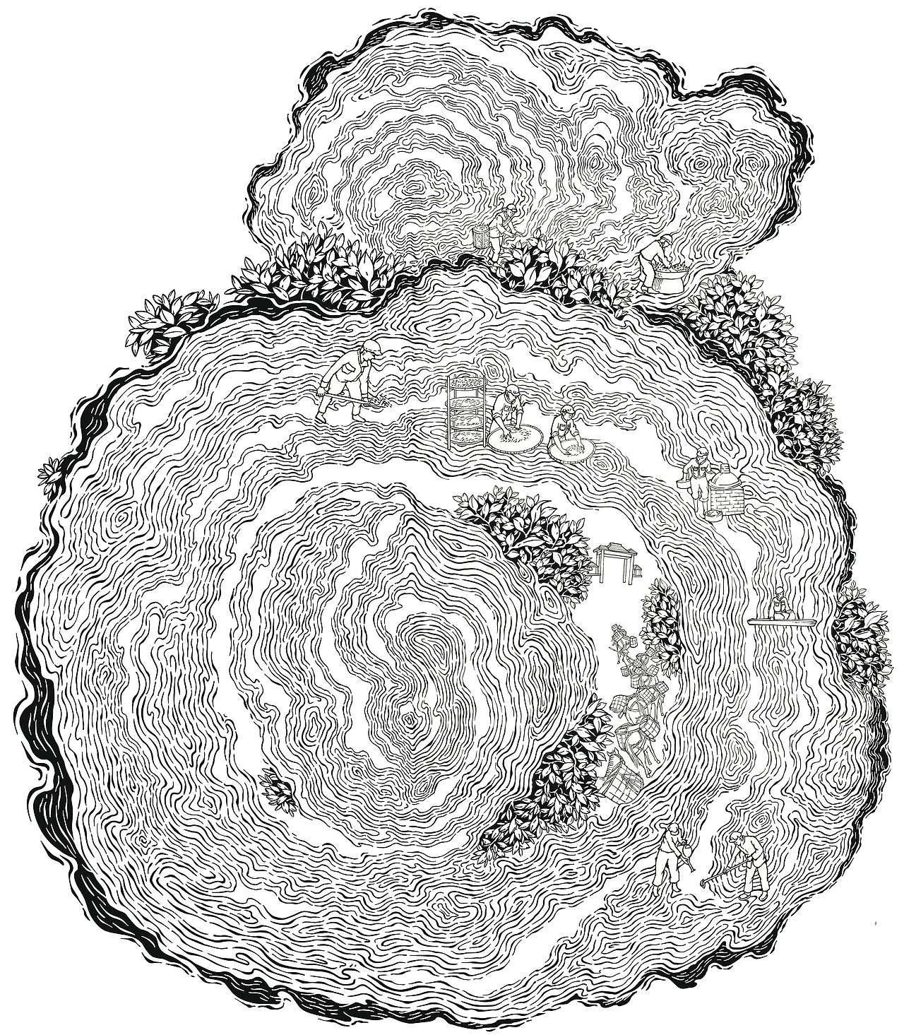 年轮（图ZMzI3NTMxODg4） - 商业插画 - 站酷设计师番茄小山猪原创素材 - 站酷ZCOOL