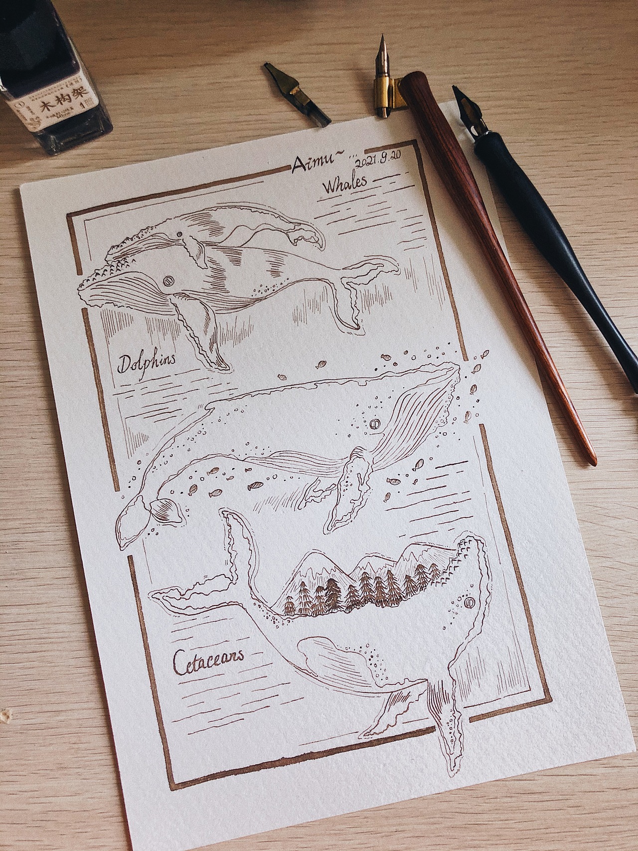 蘸水笔·鲸鱼丨蓝鲸插画 纹身图案设计