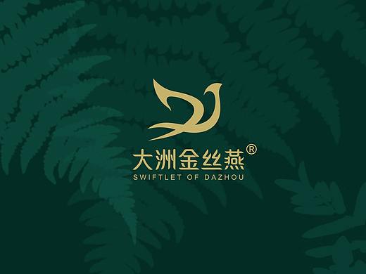 大洲燕窝三折页