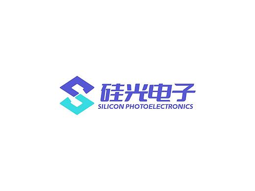 logo设计（个人主页-ZNjUyMTAwMDA=） - Logo - 站酷设计师张世杰原创素材 - 站酷ZCOOL