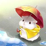请叫Alg97的头像