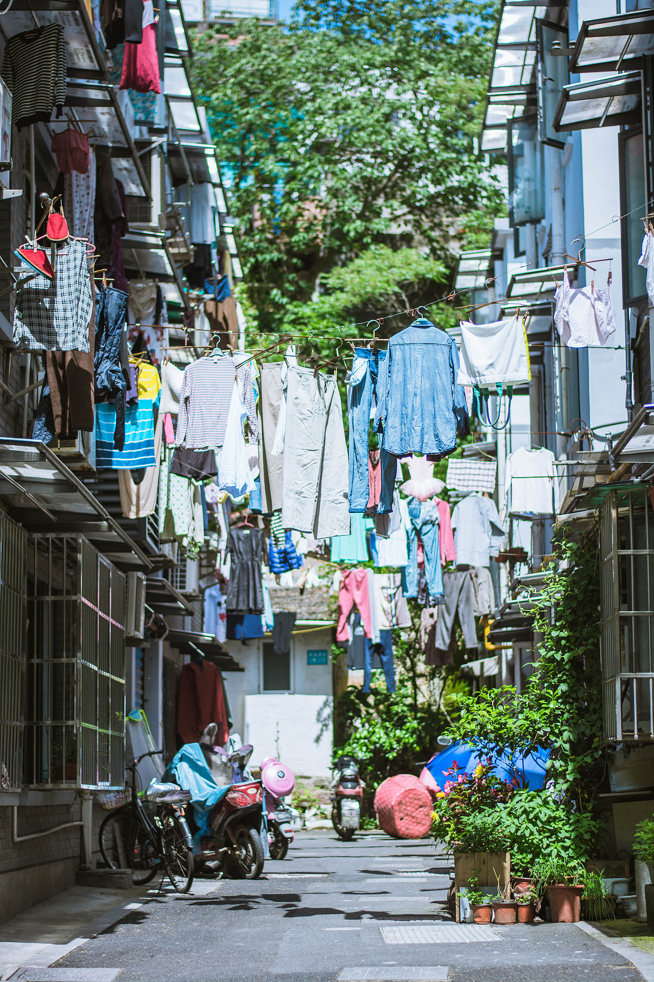 【立夏的风】（图ZNzk0MjQ4NDg=） - 人像摄影 - 站酷设计师睡意同学原创素材 - 站酷ZCOOL