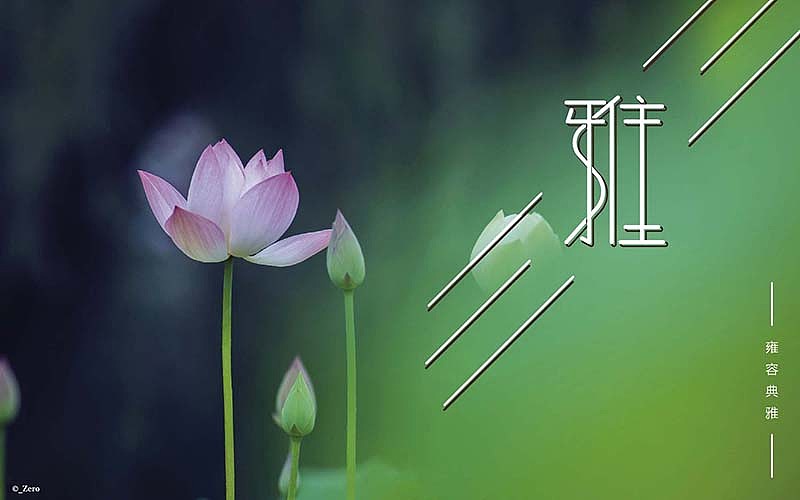 【“字”不量力】--2016造字日记005