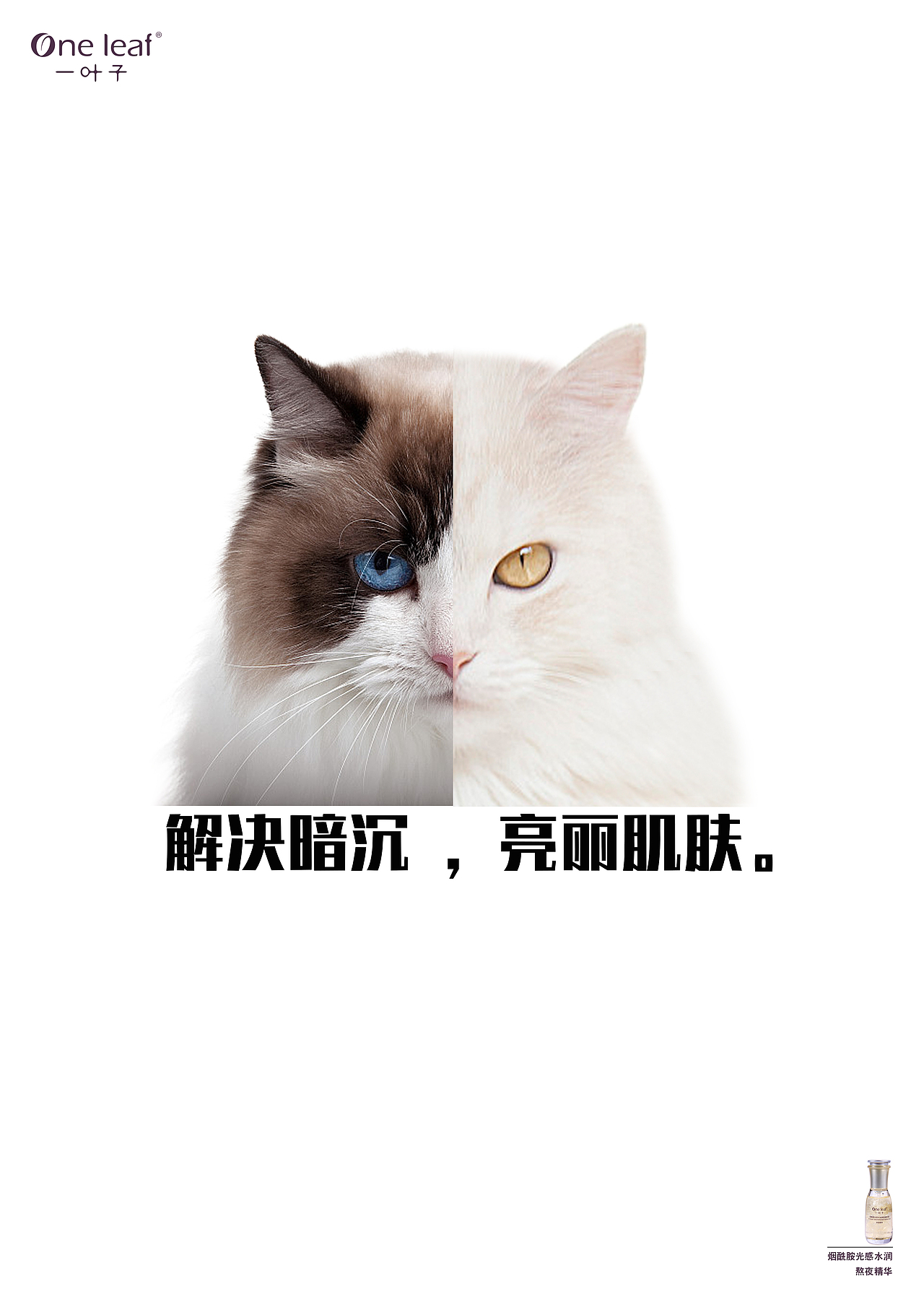 海报设计（图ZMjg4NzcwNDI0） - 海报 - 站酷设计师一小点点原创素材 - 站酷ZCOOL