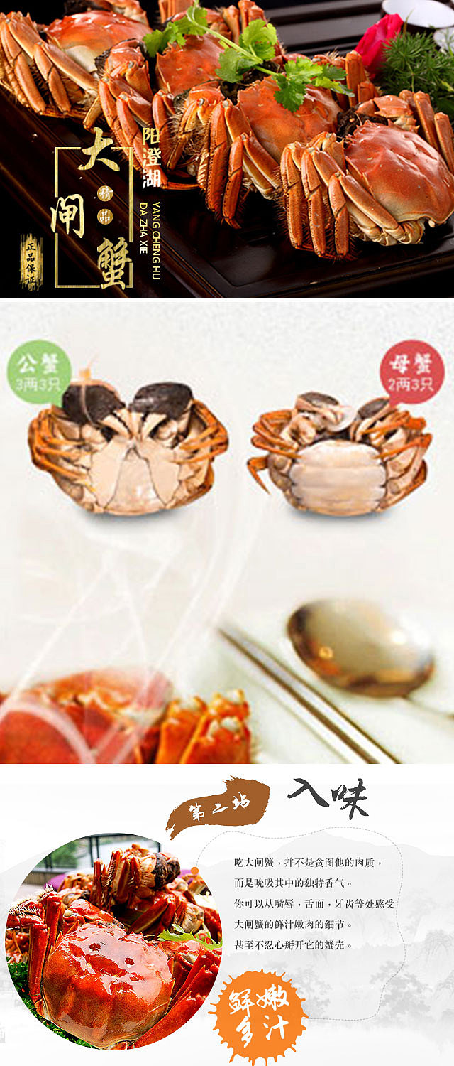阳澄湖大闸蟹（图ZNjE3OTQyNjg=） - 宣传物料 - 站酷设计师学习的熙儿原创素材 - 站酷ZCOOL