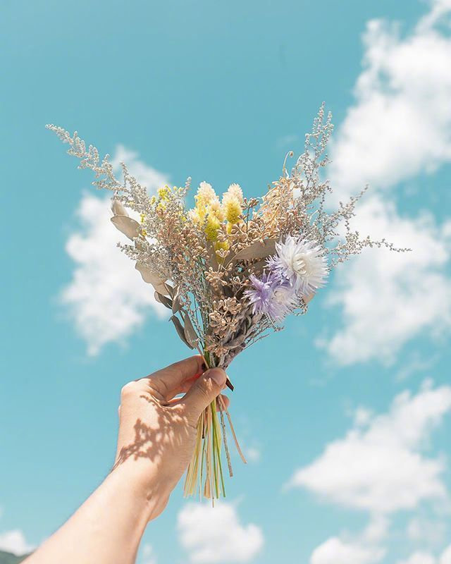 ZD傻先生的个人主页（背景预览） - 主页背景设置 - 站酷设计师ZD傻先生原创素材 - 站酷ZCOOL