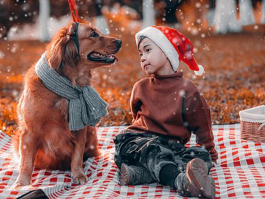 Merry Christmas（个人主页-ZMzI0MDIwMDA=） - 宠物摄影 - 站酷设计师Carakwan_原创素材 - 站酷ZCOOL