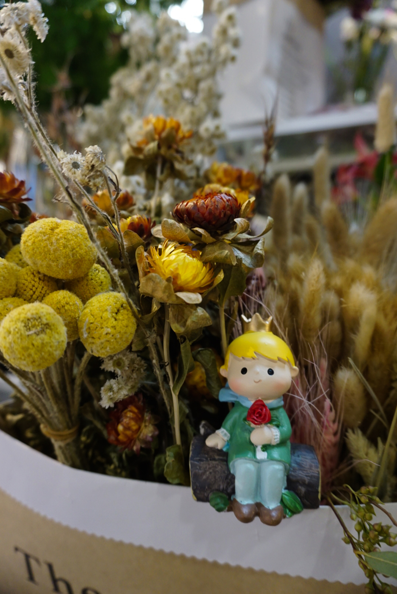 #静物练习 鲜花拍摄