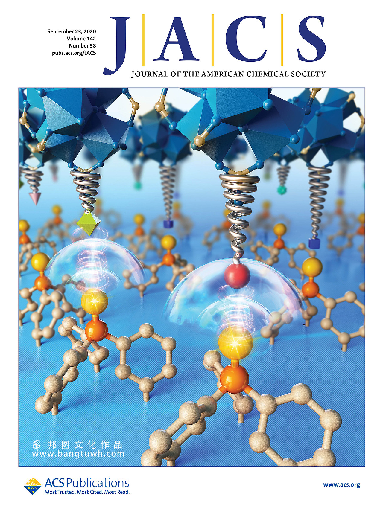 示意图 机制图 SCI论文绘图
