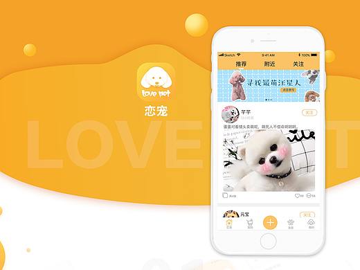 宠物APP设计