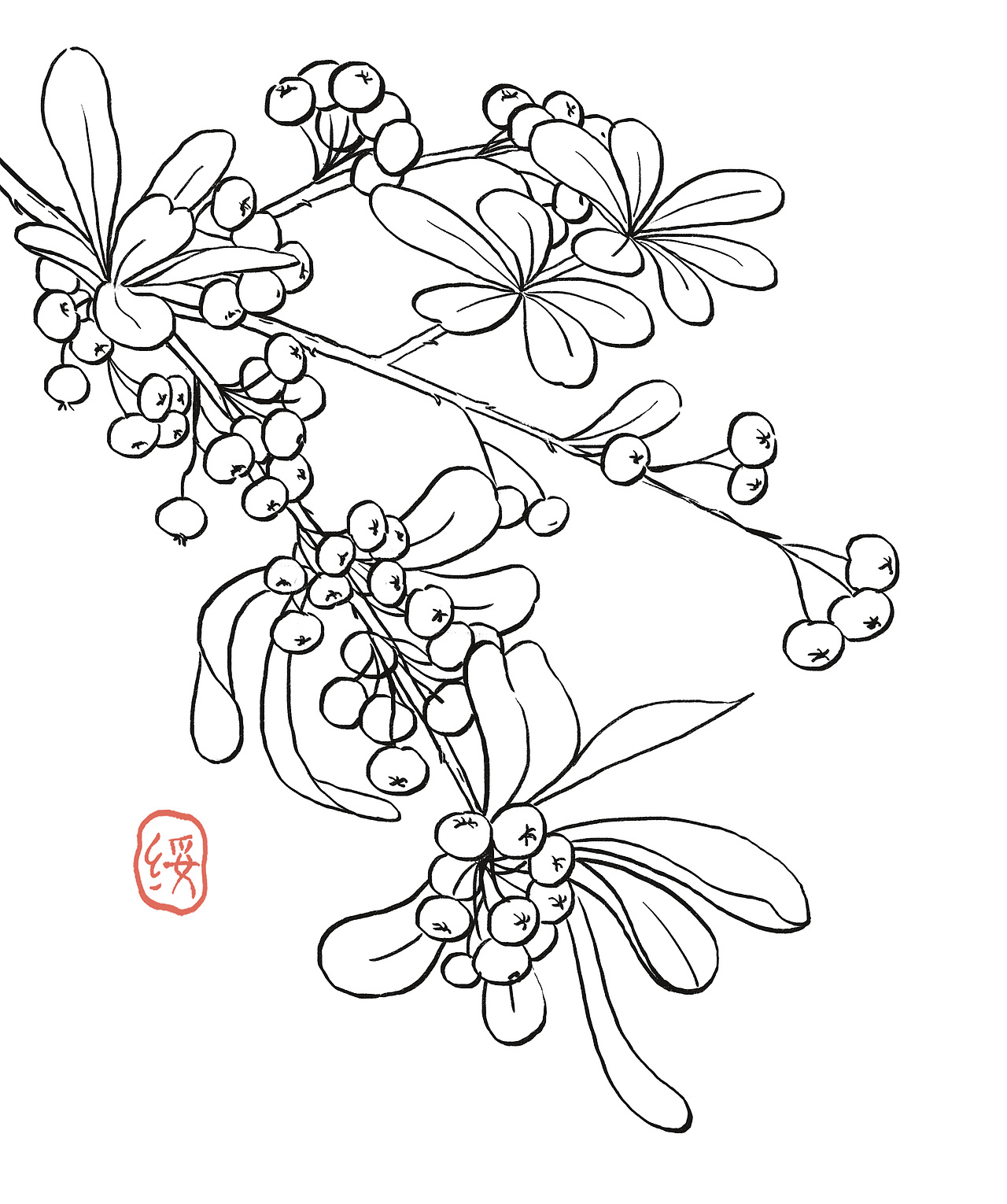 另一些植物（图ZMjI0OTk5ODMy） - 创作习作 - 站酷设计师熊绥绥原创素材 - 站酷ZCOOL