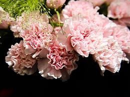 每個(gè)人對(duì)花的定義，都不一樣