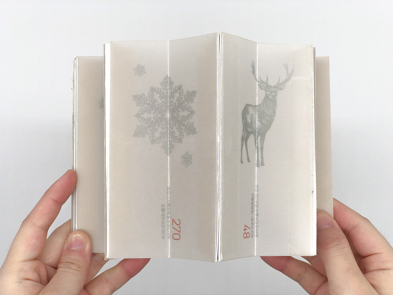 农夫山泉产品介绍型录设计练习