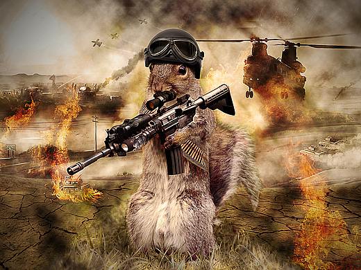 松鼠特战队-合成练习