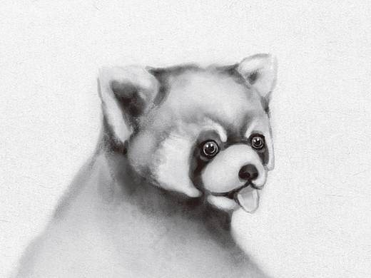 封面設(shè)計(jì)--小動物（個人主頁-ZNDczODIzNzI=） - 商業(yè)插畫 - 站酷設(shè)計(jì)師卯君子原創(chuàng)素材 - 站酷ZCOOL