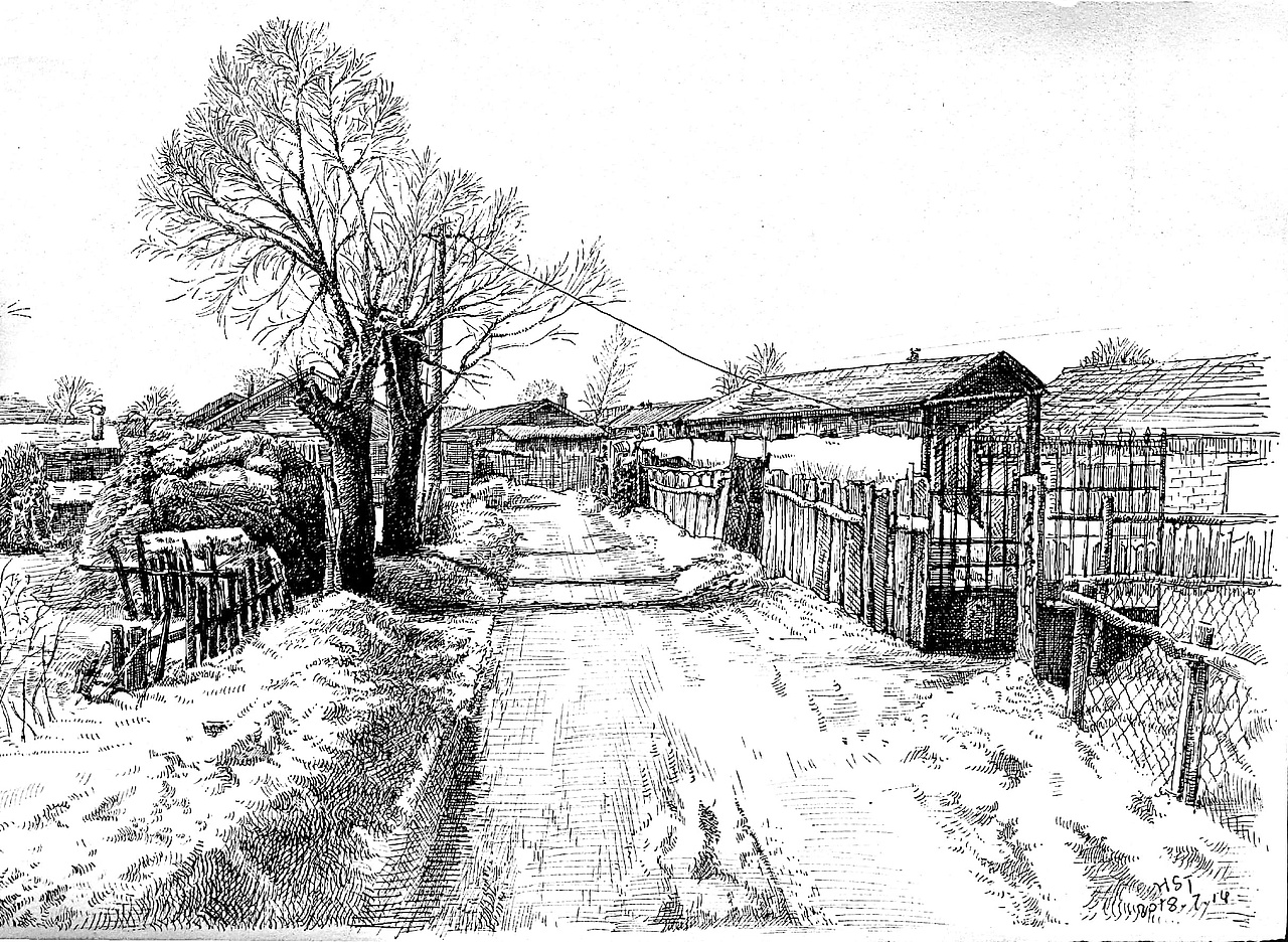 昆虫风景钢笔画