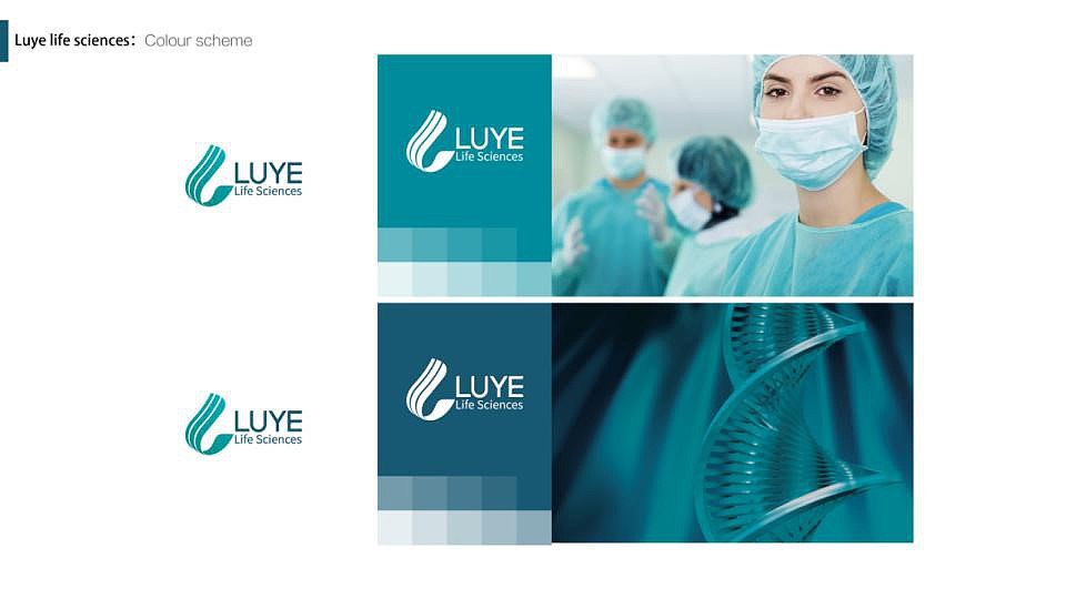 绿叶生命标志修改提案（图ZMjM2MDkwMjA0） - Logo - 站酷设计师许天博原创素材 - 站酷ZCOOL