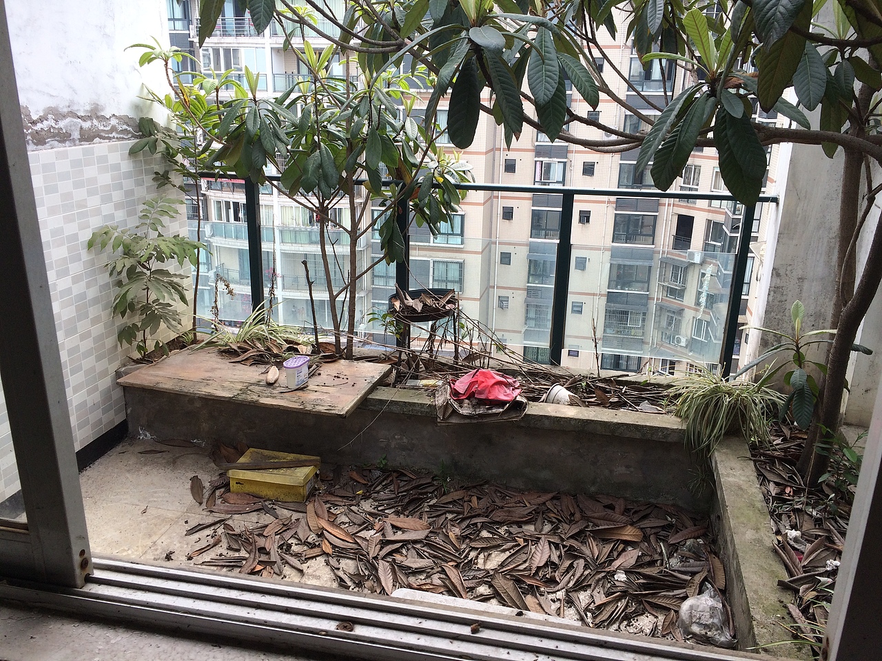 新工作室的诞生~~~（图ZMTA1MTUzNzI0） - 其他手工艺 - 站酷设计师离谱哥哥原创素材 - 站酷ZCOOL