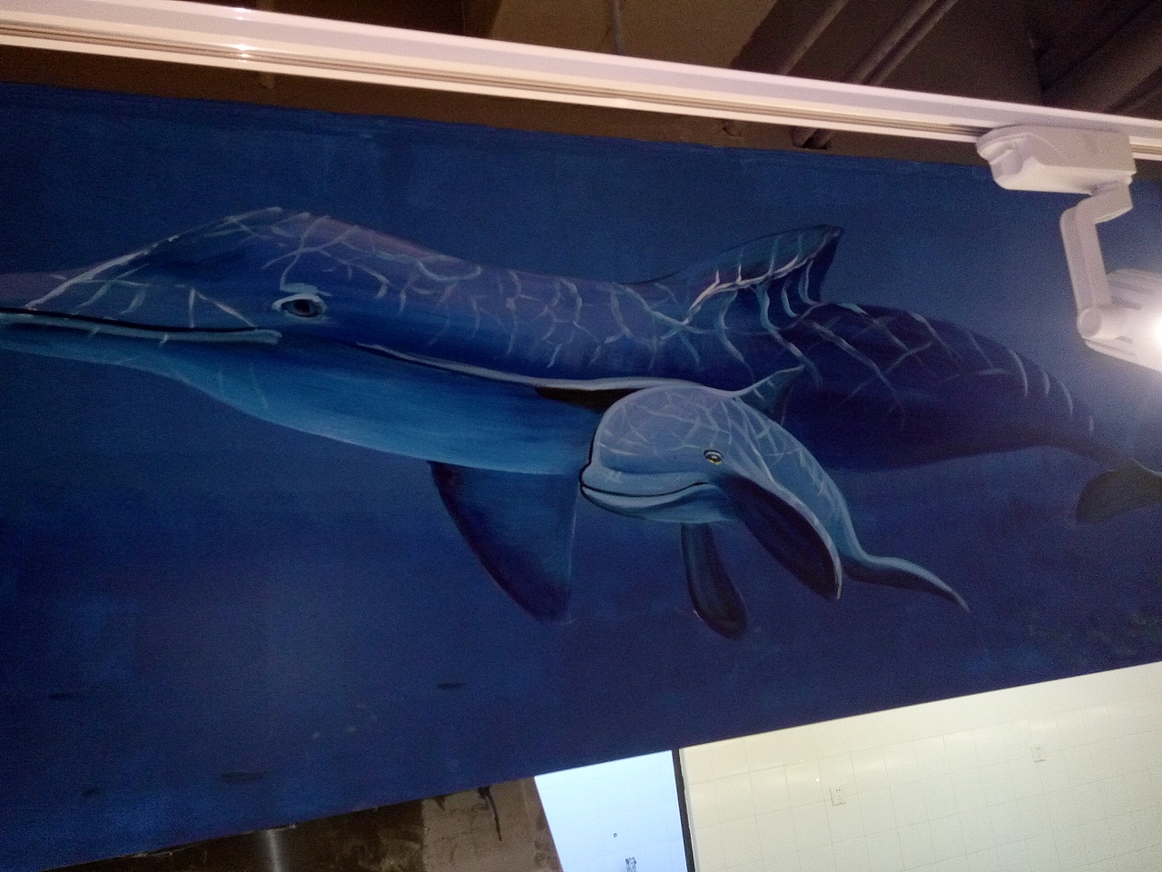 3D墙绘，3D墙画，成都墙绘，成都彩绘，成都壁画（图ZMjQyMTM5OTIw） - 新锐潮流插画 - 站酷设计师农村壁画原创素材 - 站酷ZCOOL
