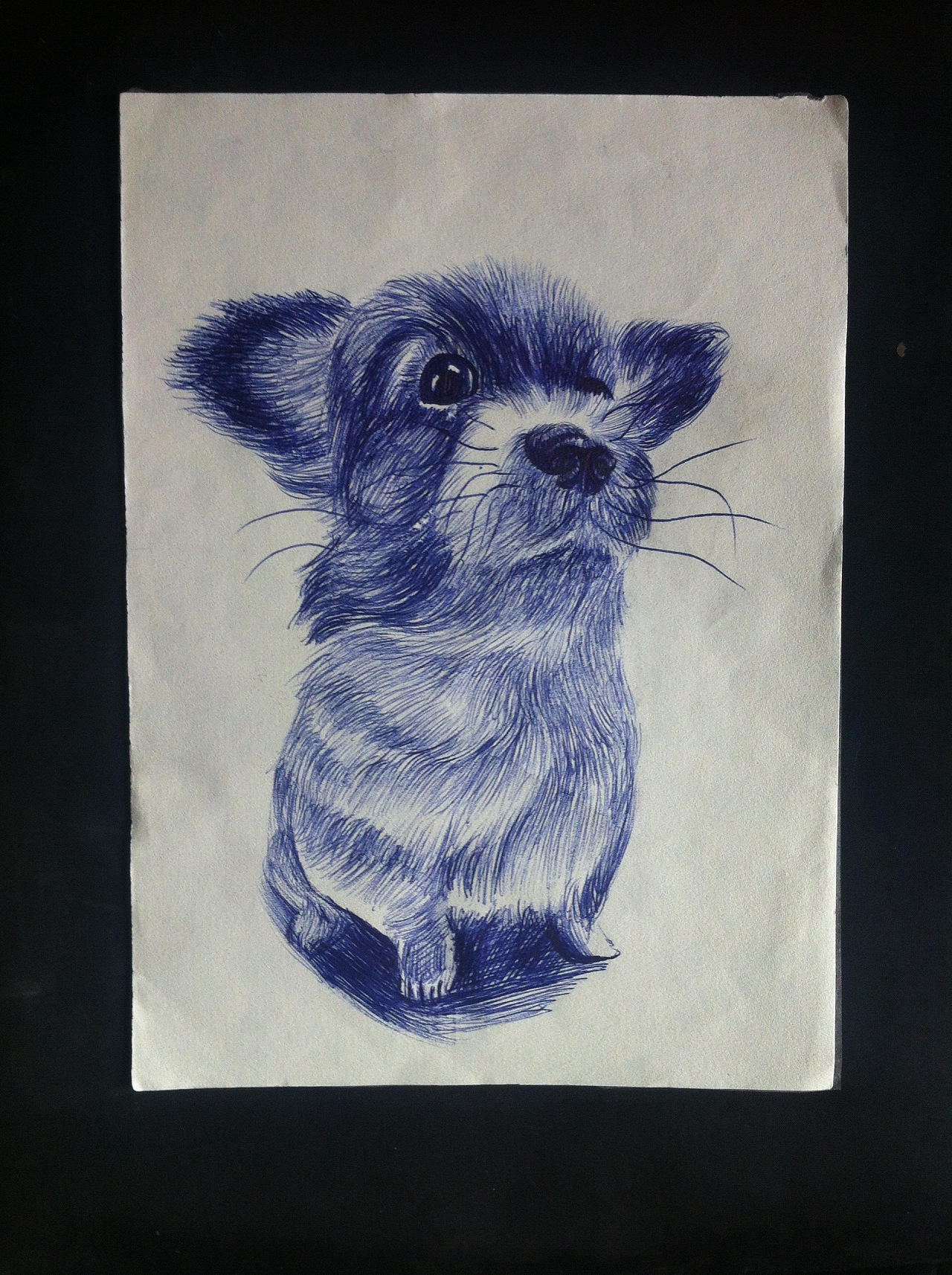 儿童画画简笔画作品教程 教你画小狗的画法 肉丁儿童网