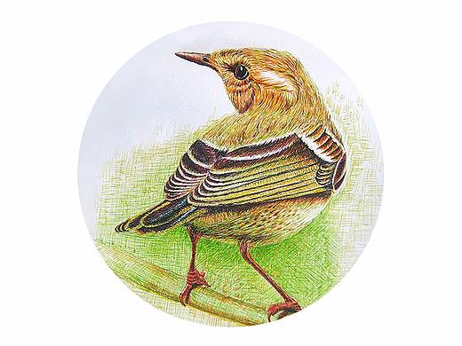 钢笔画（个人主页-ZMjY3MjI1NzI=） - 艺术插画 - 站酷设计师xanthew原创素材 - 站酷ZCOOL